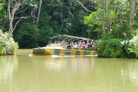 Kuranda Highlights Including Rainforestation Aboriginal Culture And Wildlife - Accommodation Adelaide 5