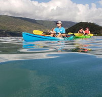 Kayak Turtle Tour from Palm Cove - Accommodation Adelaide
