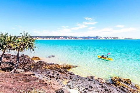 Kayak With Dolphins And 4WD Great Beach Drive Day Trip From Noosa - Accommodation Adelaide 3