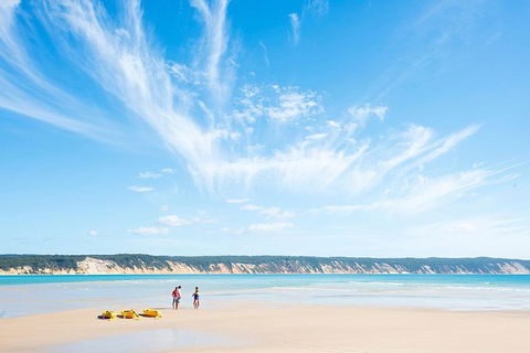Kayak With Dolphins And 4WD Great Beach Drive Day Trip From Noosa - Accommodation Adelaide 16