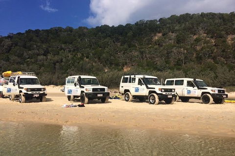 Kayak With Dolphins And 4WD Great Beach Drive Day Trip From Noosa - Accommodation Adelaide 9