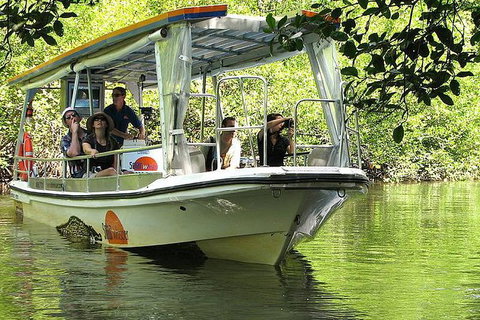 3-Day Best Of Cairns Combo: The Daintree Rainforest, Great Barrier Reef, And Kuranda - Accommodation Adelaide 7