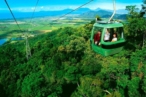 3-Day Best Of Cairns Combo: The Daintree Rainforest, Great Barrier Reef, And Kuranda - Accommodation Adelaide 9