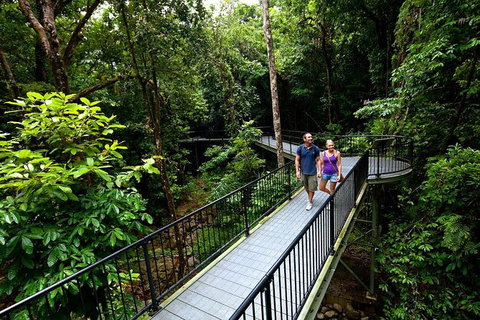 3-Day Best Of Cairns Combo: The Daintree Rainforest, Great Barrier Reef, And Kuranda - Accommodation Adelaide 6