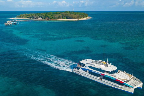 Ultimate 3-Day Great Barrier Reef Cruise Pass - Accommodation Adelaide 5