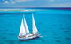 Ultimate 3-Day Great Barrier Reef Cruise Pass - thumb 1