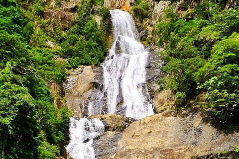 Private Half Day Tour: Exclusive World Heritage Rainforest And Waterfall Tour From Cairns - Accommodation Adelaide 5