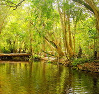 Private Half Day Tour Exclusive World Heritage Rainforest and Waterfall Tour from Cairns - Accommodation Adelaide
