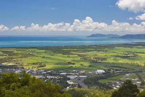 Private Half Day Tour: Exclusive World Heritage Rainforest And Waterfall Tour From Cairns - Accommodation Adelaide 4