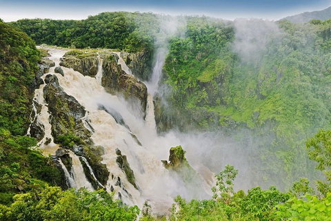 Private Half Day Tour: Exclusive World Heritage Rainforest And Waterfall Tour From Cairns - Accommodation Adelaide 3