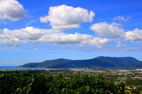 Private Half Day Tour: Exclusive World Heritage Rainforest And Waterfall Tour From Cairns - Accommodation Adelaide 1
