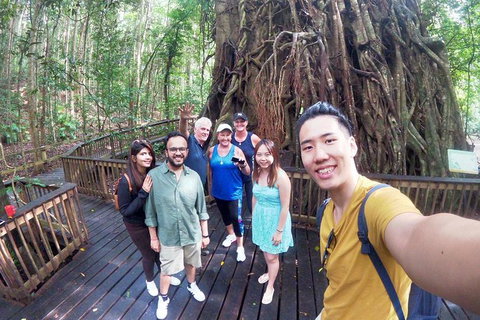 Private Half Day Tour: Exclusive World Heritage Rainforest And Waterfall Tour From Cairns - Accommodation Adelaide 2
