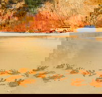 Great Beach Drive 4WD Day Tour Between Noosa and Rainbow Beach - Accommodation Adelaide