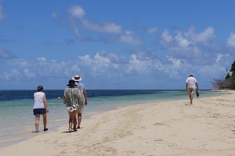 2-Day Great Barrier Reef Combo: Green Island Sailing And Outer Reef Snorkel Cruise - Accommodation Adelaide 7