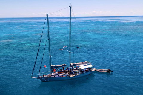 2-Day Great Barrier Reef Combo: Green Island Sailing And Outer Reef Snorkel Cruise - Accommodation Adelaide 4