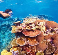 6-Day Best of Cairns Including the Great Barrier Reef Kuranda and the Daintree Rainforest - Accommodation Adelaide