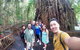 6-Day Best Of Cairns Including The Great Barrier Reef, Kuranda And The Daintree Rainforest - thumb 5