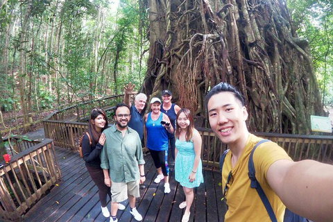 6-Day Best Of Cairns Including The Great Barrier Reef, Kuranda And The Daintree Rainforest - Accommodation Adelaide 5