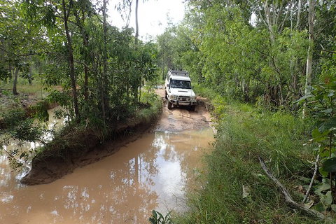 6-Day Best Of Cairns Including The Great Barrier Reef, Kuranda And The Daintree Rainforest - Accommodation Adelaide 7