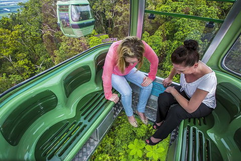 6-Day Best Of Cairns Including The Great Barrier Reef, Kuranda And The Daintree Rainforest - Accommodation Adelaide 1