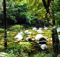 Cairns Daintree Rainforest and Cape Tribulation 2-Day Tour - Accommodation Adelaide