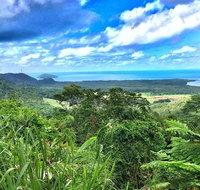 Private Daintree National Park Day Tour from Cairns Including Cape Tribulation and Mossman Gorge - Accommodation Adelaide