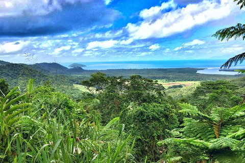 Private Daintree National Park Day Tour From Cairns Including Cape Tribulation And Mossman Gorge - Accommodation Adelaide 0