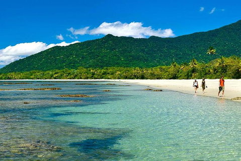 Private Daintree National Park Day Tour From Cairns Including Cape Tribulation And Mossman Gorge - Accommodation Adelaide 5