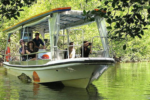 Private Daintree National Park Day Tour From Cairns Including Cape Tribulation And Mossman Gorge - Accommodation Adelaide 3