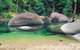 Private Daintree National Park Day Tour From Cairns Including Cape Tribulation And Mossman Gorge - thumb 1