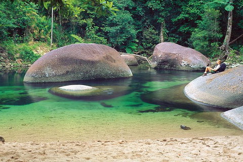 Private Daintree National Park Day Tour From Cairns Including Cape Tribulation And Mossman Gorge - Accommodation Adelaide 1