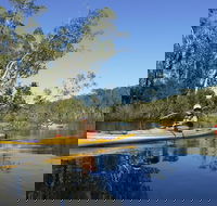 Self-Guided Noosa Everglades Kayak Tour - Accommodation Adelaide