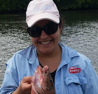 Cairns Estuary Fishing - Accommodation Adelaide