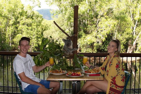 Hartley\'s Crocodile Adventures Entry Ticket And Breakfast With The Koalas - Accommodation Adelaide 0