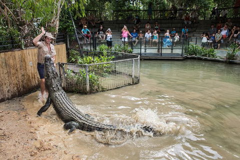 Hartley\'s Crocodile Adventures Entry Ticket And Breakfast With The Koalas - Accommodation Adelaide 2