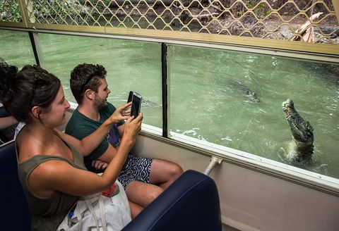 Hartley\'s Crocodile Adventures Entry Ticket And Breakfast With The Koalas - Accommodation Adelaide 7