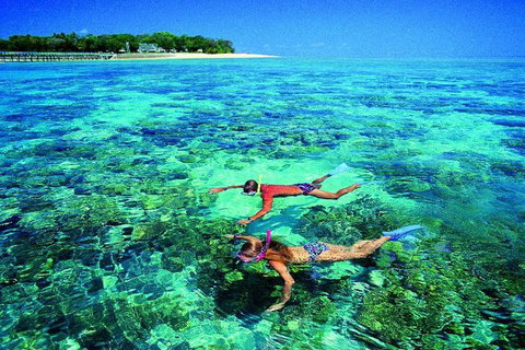 4-Day Cairns With Great Barrier Reef And Daintree Rainforest - Accommodation Adelaide 3