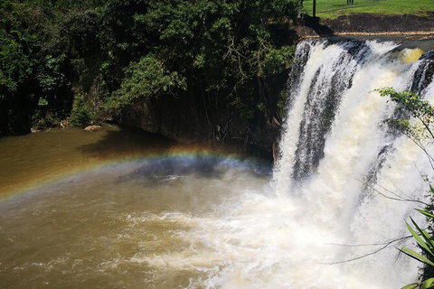 Paronella Park, Historic Village Herberton And Granite George Wild Life Kangaroo - Accommodation Adelaide 8