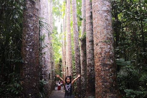 Paronella Park, Historic Village Herberton And Granite George Wild Life Kangaroo - Accommodation Adelaide 11