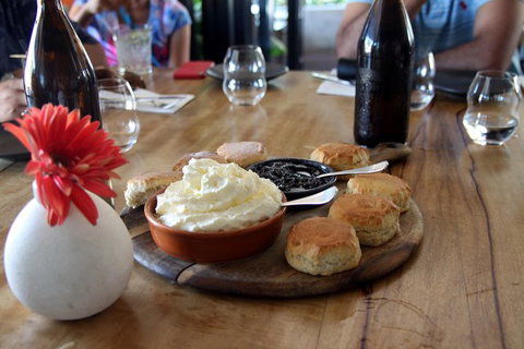 Small-Group Afternoon Cairns City Tour With Harbour Dinner Cruise - Accommodation Adelaide 6