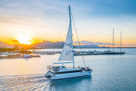 Small-Group Afternoon Cairns City Tour With Harbour Dinner Cruise - Accommodation Adelaide 0