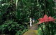 Small-Group Afternoon Cairns City Tour With Harbour Dinner Cruise - thumb 8