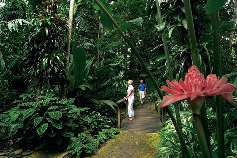 Small-Group Afternoon Cairns City Tour With Harbour Dinner Cruise - Accommodation Adelaide 8