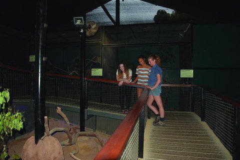 Kuranda Koala Gardens General Entry Ticket - Accommodation Adelaide 1