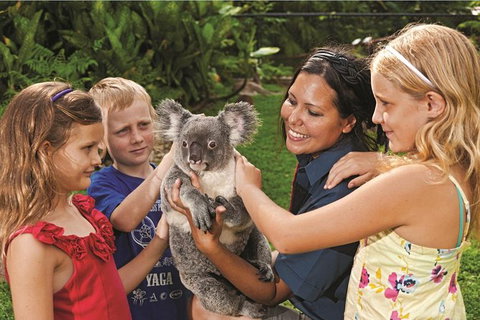 Kuranda Koala Gardens General Entry Ticket - Accommodation Adelaide 2