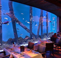 Cairns Aquarium and small group City Sightseeing Tour - Accommodation Adelaide
