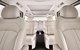 Luxury Van, Private Transfer, Cairns Airport - Cairns City - thumb 1