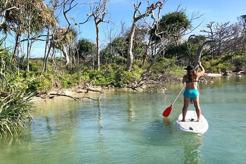 Early Morning Weekend Paddleboard Special - Accommodation Adelaide 5