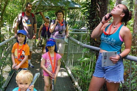 Daintree Discovery Centre Family Pass Ticket - Accommodation Adelaide 0