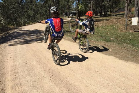 Electric Mountain Bike Tropical Tours - Accommodation Adelaide 9